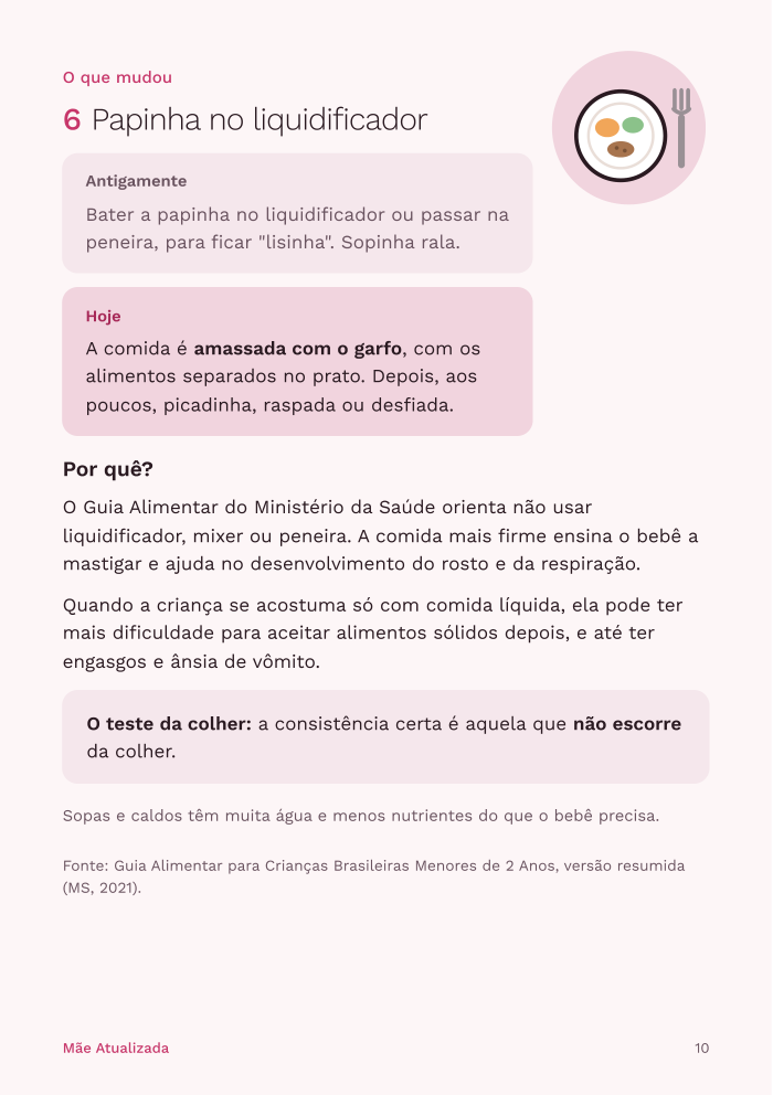 Página do guia sobre papinha no liquidificador